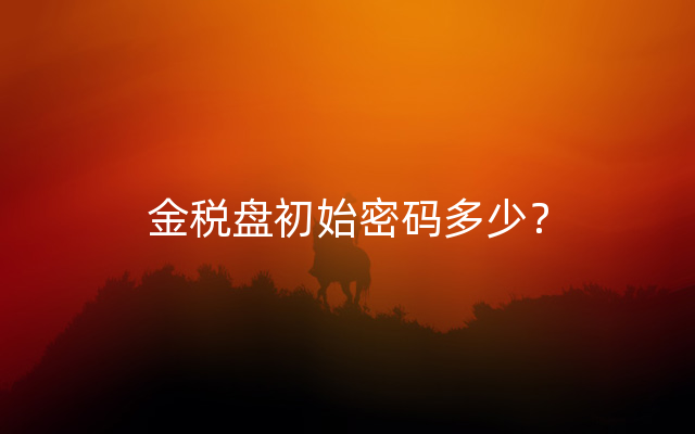 金税盘初始密码多少？