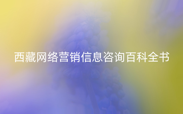 西藏网络营销信息咨询百科全书