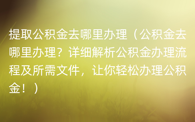 提取公积金去哪里办理（公积金去哪里办理？详细解析公积金办理流程及所需文件，让你轻