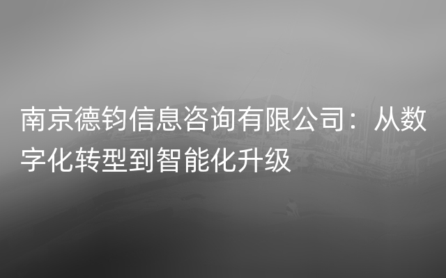 南京德钧信息咨询有限公司：从数字化转型到智能化升级