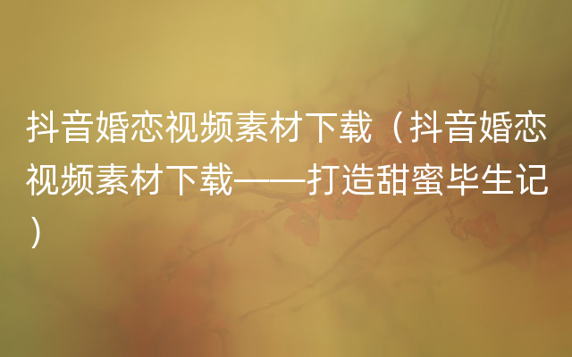 抖音婚恋视频素材下载（抖音婚恋视频素材下载——打造甜蜜毕生记）