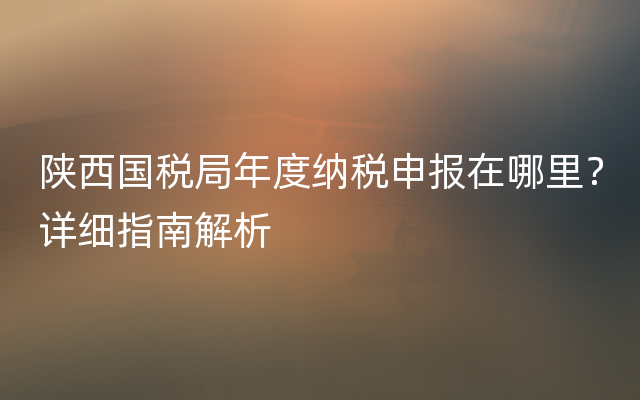 陕西国税局年度纳税申报在哪里？详细指南解析