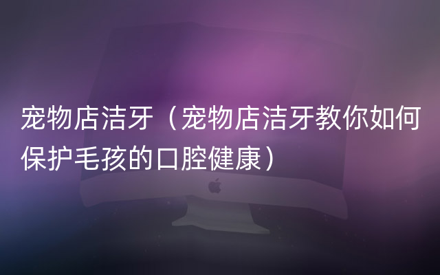 宠物店洁牙（宠物店洁牙教你如何保护毛孩的口腔健康）