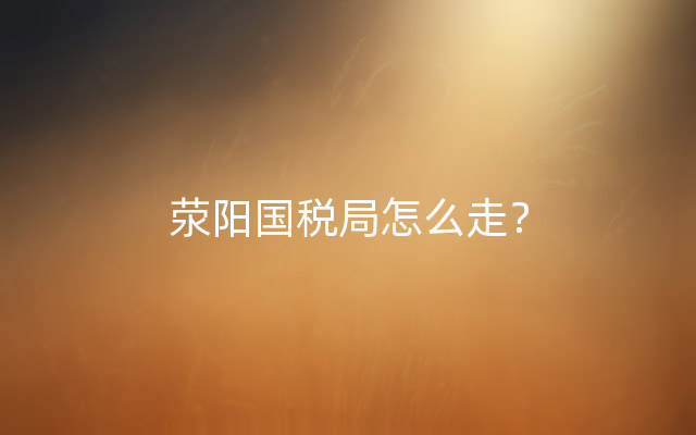 荥阳国税局怎么走？