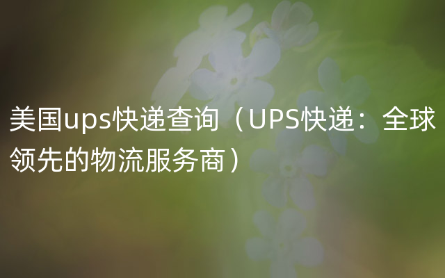 美国ups快递查询（UPS快递：全球领先的物流服务商