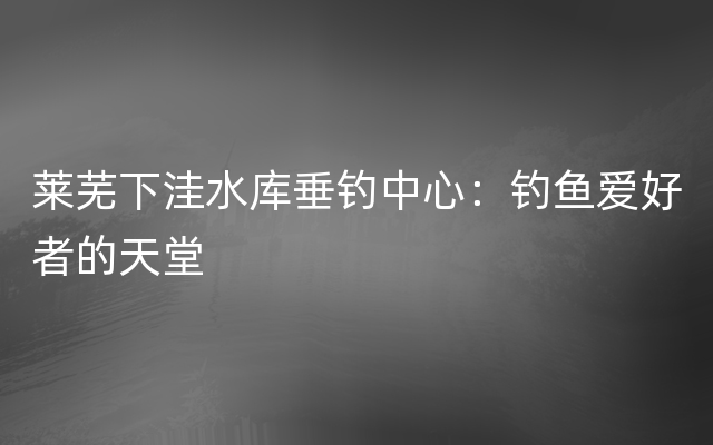 莱芜下洼水库垂钓中心：钓鱼爱好者的天堂