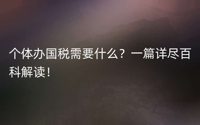 个体办国税需要什么？一篇详尽百科解读！