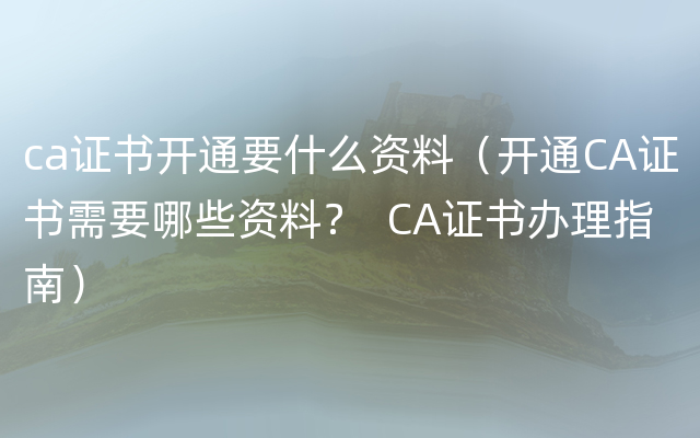 ca证书开通要什么资料（开通CA证书需要哪些资料？  CA证书办理指南）