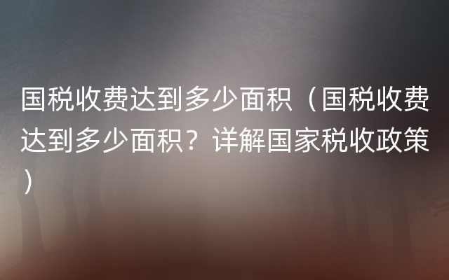 国税收费达到多少面积（国税收费达到多少面积？详解国家税收政策）