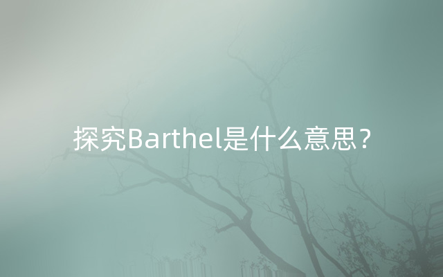 探究Barthel是什么意思？