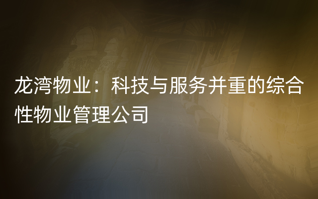 龙湾物业：科技与服务并重的综合性物业管理公司