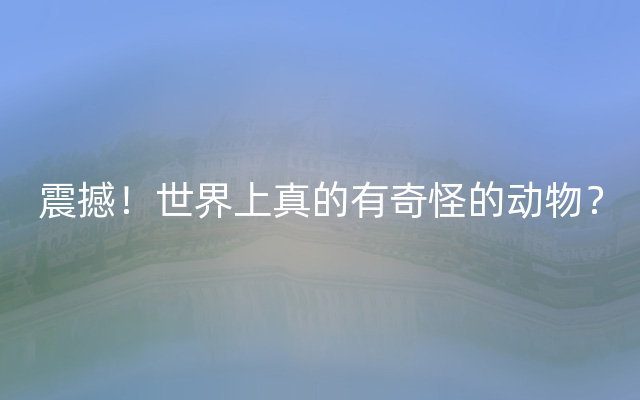 震撼！世界上真的有奇怪的动物？