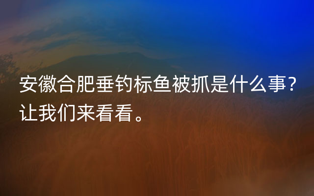 安徽合肥垂钓标鱼被抓是什么事？让我们来看看。