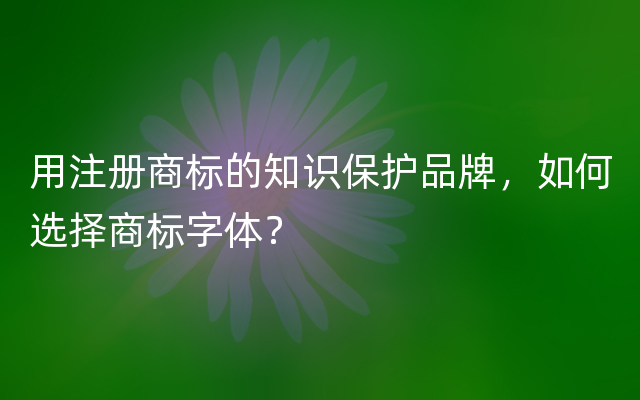 用注册商标的知识保护品牌，如何选择商标字体？