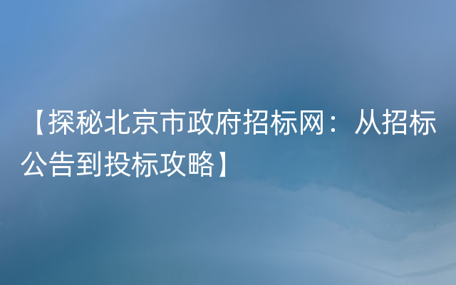 【探秘北京市政府招标网：从招标公告到投标攻略】