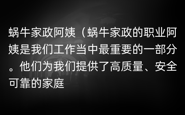 蜗牛家政阿姨（蜗牛家政的职业阿姨是我们工作当中最重要的一部分。他们为我们提供了高