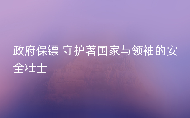 政府保镖 守护著国家与领袖的安全壮士