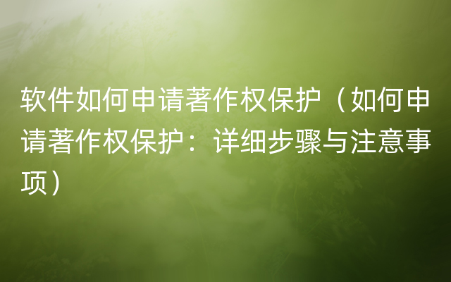 软件如何申请著作权保护（如何申请著作权保护：详细步骤与注意事项）