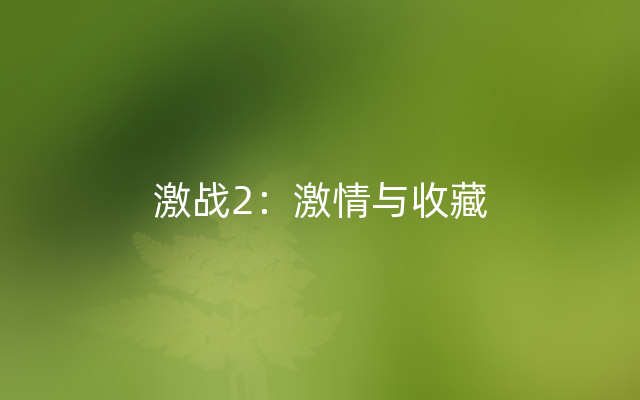 激战2：激情与收藏