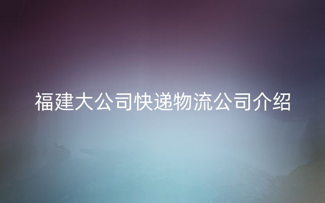 福建大公司快递物流公司介绍