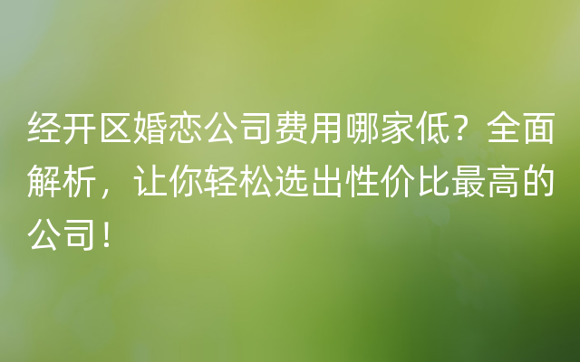 经开区婚恋公司费用哪家低？全面解析，让你轻松选出性价比最高的公司！