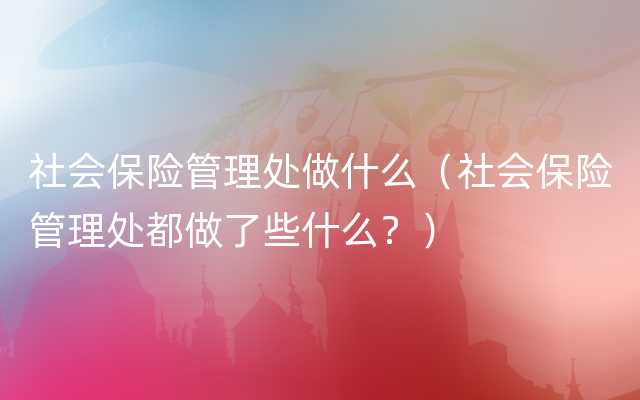 社会保险管理处做什么（社会保险管理处都做了些什么？）