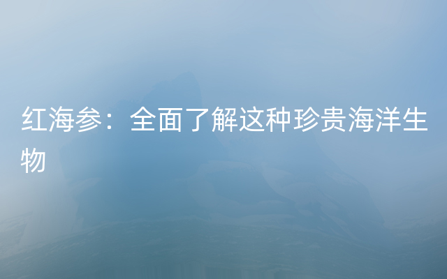 红海参：全面了解这种珍贵海洋生物