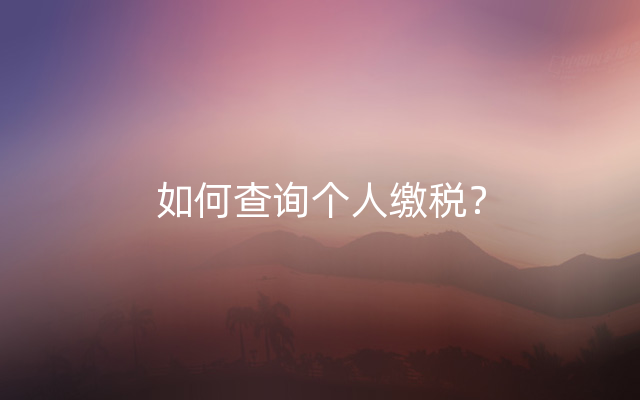 如何查询个人缴税？