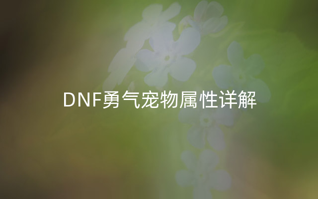 DNF勇气宠物属性详解