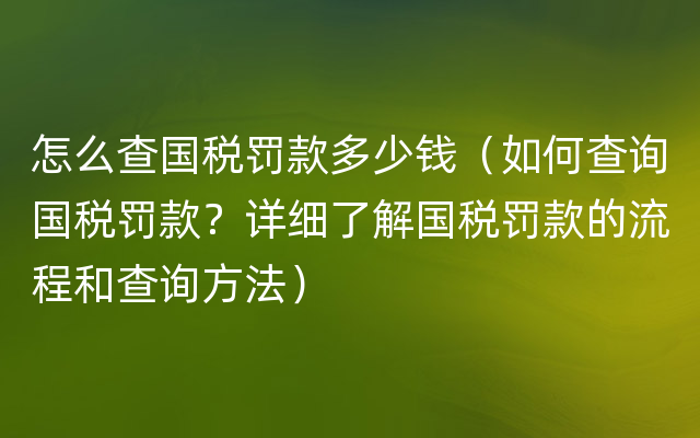 怎么查国税罚款多少钱（如何查询国税罚款？详细了解国税罚款的流程和查询方法）