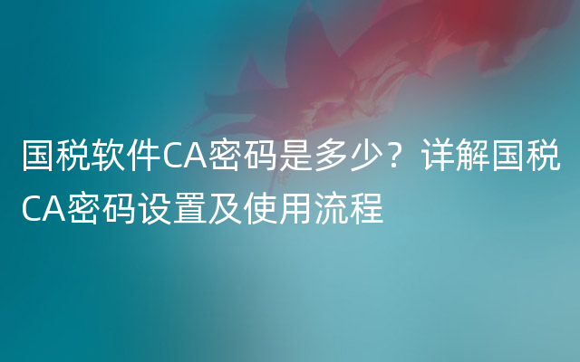 国税软件CA密码是多少？详解国税CA密码设置及使用