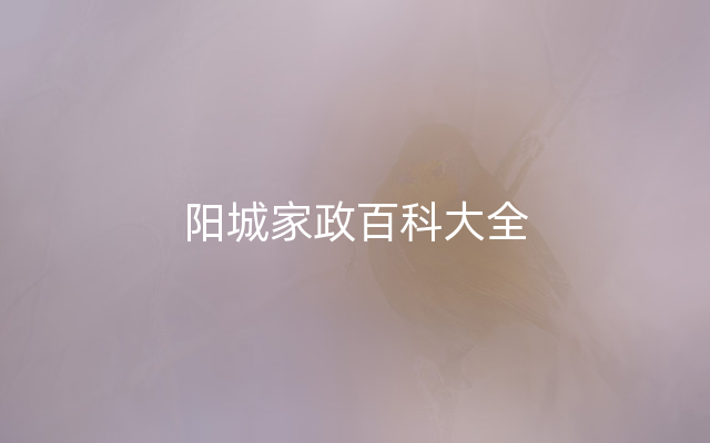 阳城家政百科大全