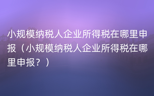 小规模纳税人企业所得税在哪里申报（小规模纳税人企业所得税在哪里申报？）