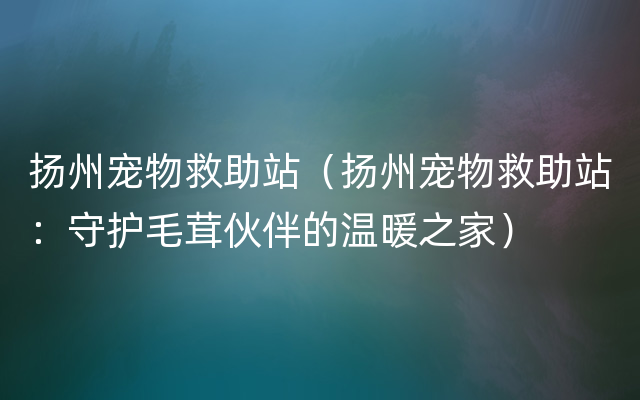 扬州宠物救助站（扬州宠物救助站：守护毛茸伙伴的温暖之家）