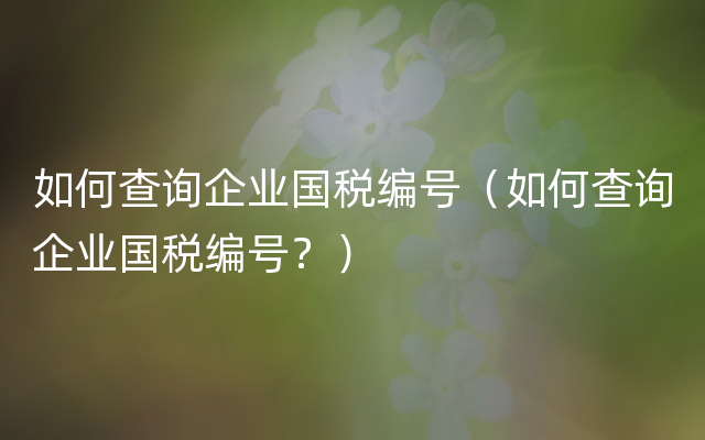 如何查询企业国税编号（如何查询企业国税编号？）