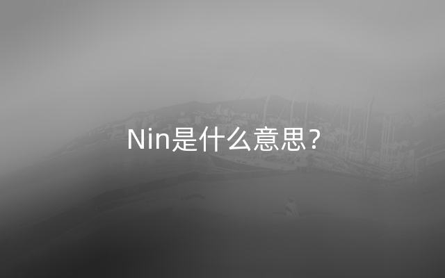 Nin是什么意思？