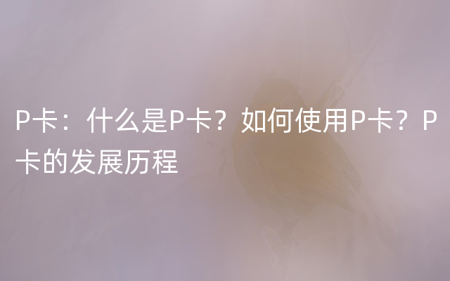 P卡：什么是P卡？如何使用P卡？P卡的发展历程