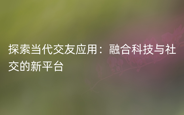 探索当代交友应用：融合科技与社交的新平台