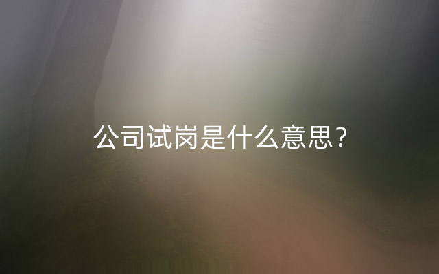 公司试岗是什么意思？