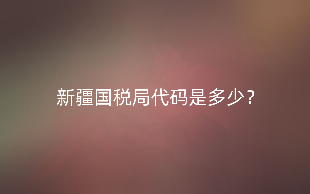 新疆国税局代码是多少？