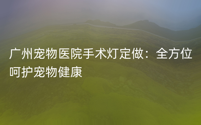 广州宠物医院手术灯定做：全方位呵护宠物健康