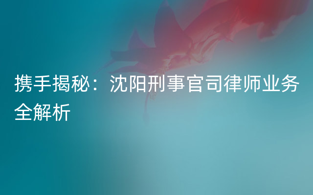 携手揭秘：沈阳刑事官司律师业务全解析