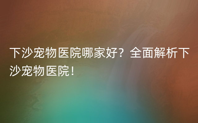 下沙宠物医院哪家好？全面解析下沙宠物医院！