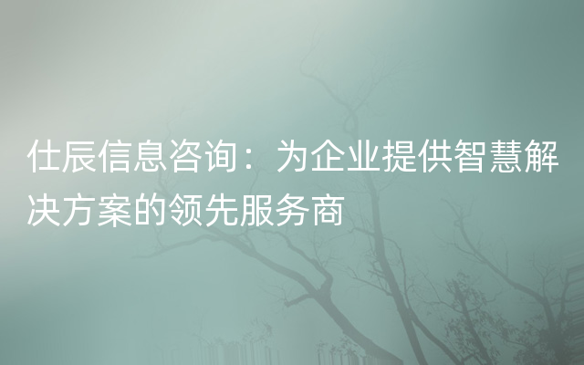 仕辰信息咨询：为企业提供智慧解决方案的领先服务商