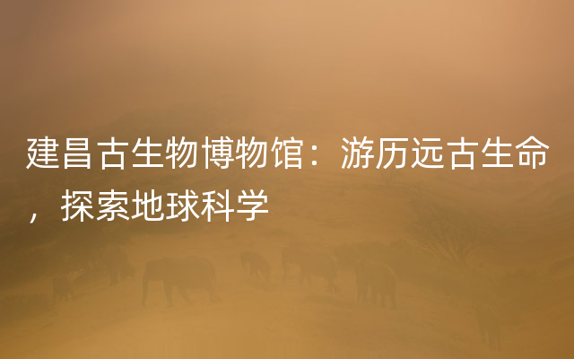 建昌古生物博物馆：游历远古生命，探索地球科学