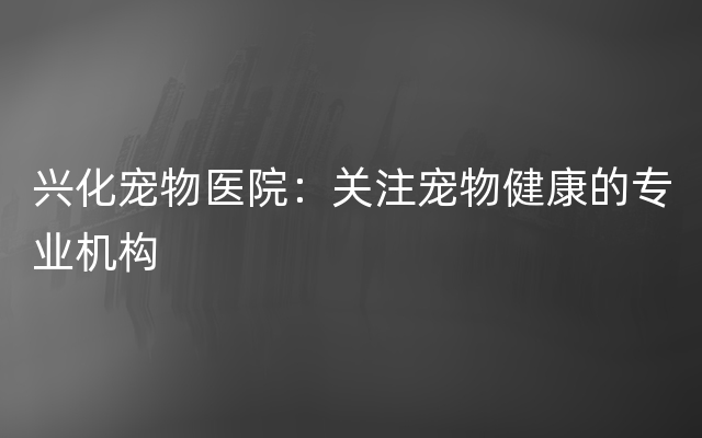 兴化宠物医院：关注宠物健康的专业机构