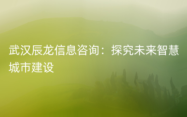 武汉辰龙信息咨询：探究未来智慧城市建设