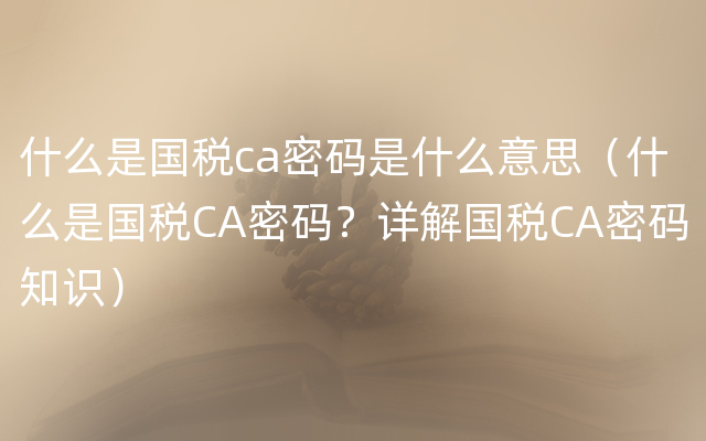 什么是国税ca密码是什么意思（什么是国税CA密码？