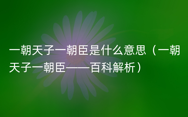 一朝天子一朝臣是什么意思（一朝天子一朝臣——百科解析）