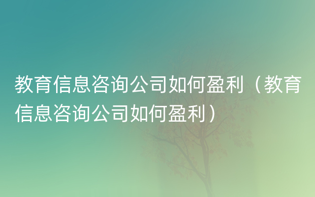 教育信息咨询公司如何盈利（教育信息咨询公司如何盈利）